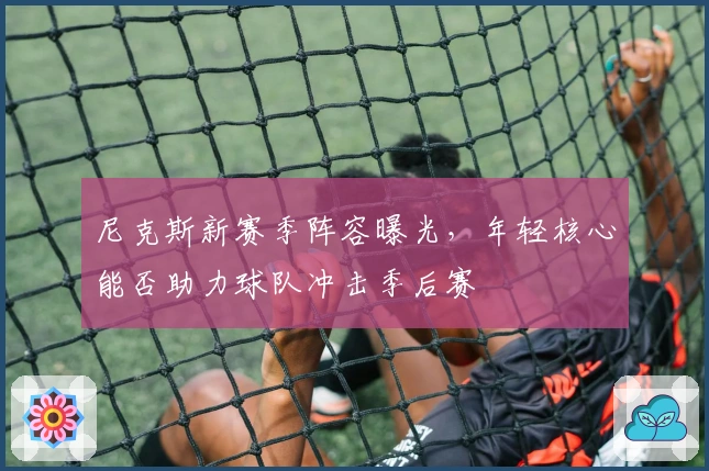 尼克斯新赛季阵容曝光，年轻核心能否助力球队冲击季后赛