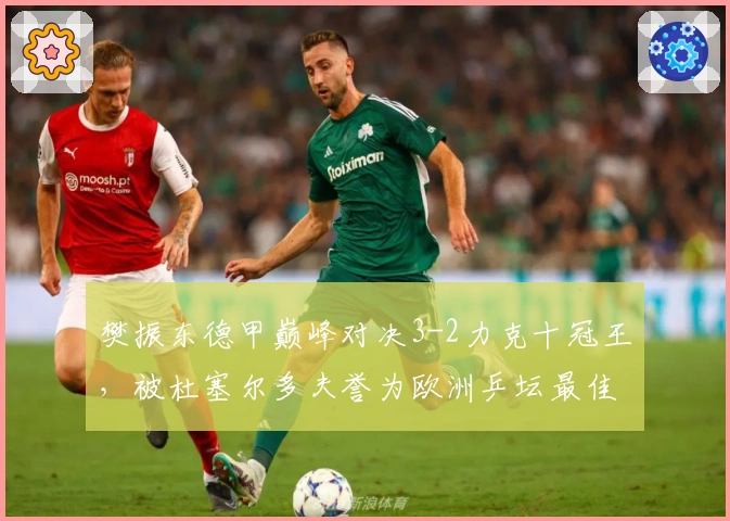 樊振东德甲巅峰对决3-2力克十冠王，被杜塞尔多夫誉为欧洲乒坛最佳礼物